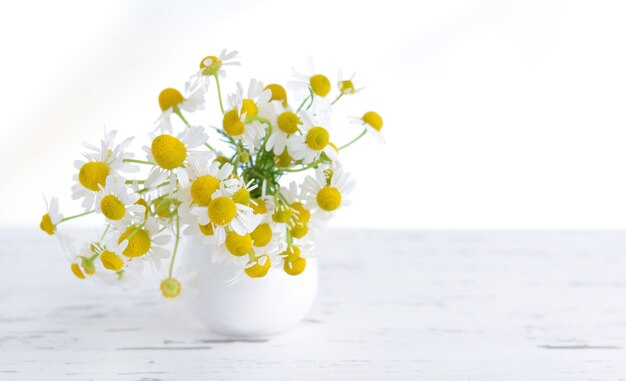 Belles Fleurs De Marguerites Dans Un Vase Sur Table Sur Fond Clair