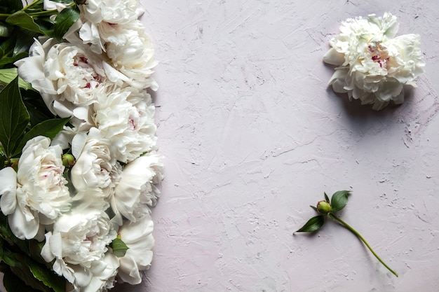 Belles fleurs de pivoine avec espace de copie pour votre vue de dessus de texte et style plat.