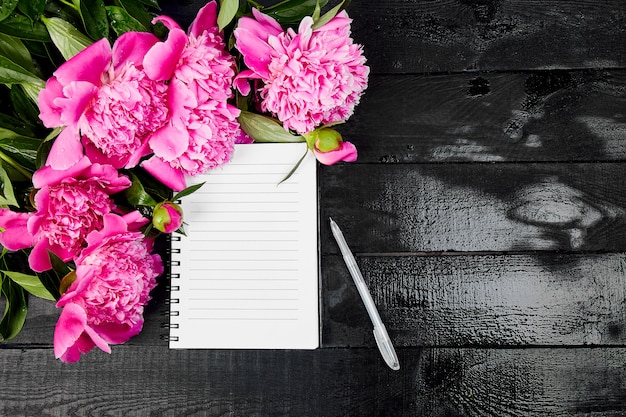 Photo belles fleurs de pivoine rose sur fond noir.