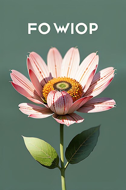 Photo belles fleurs en pot gros plan fond simple affiche couverture papier peint design publicitaire