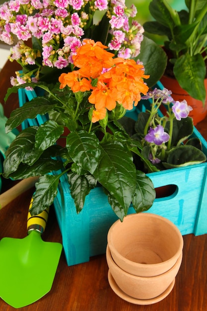 Belles fleurs en pots sur table en bois libre