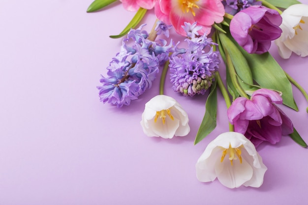 Belles fleurs de printemps sur fond violet
