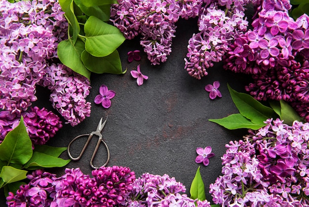 Belles fleurs de printemps lilas sur fond de pierre sombre avec place pour le texte