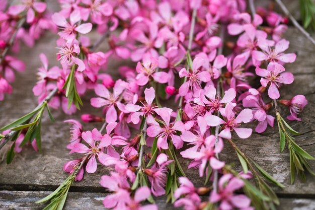 Belles fleurs de printemps sur la vieille table en bois