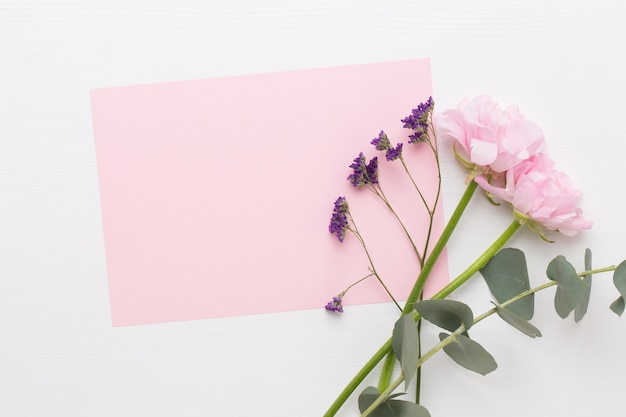 Belles fleurs de renoncules colorées sur fond blanc. Carte de voeux Saint Valentin.