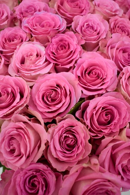 Belles fleurs roses pour les vacances Bouquet de fond de roses roses vivantes