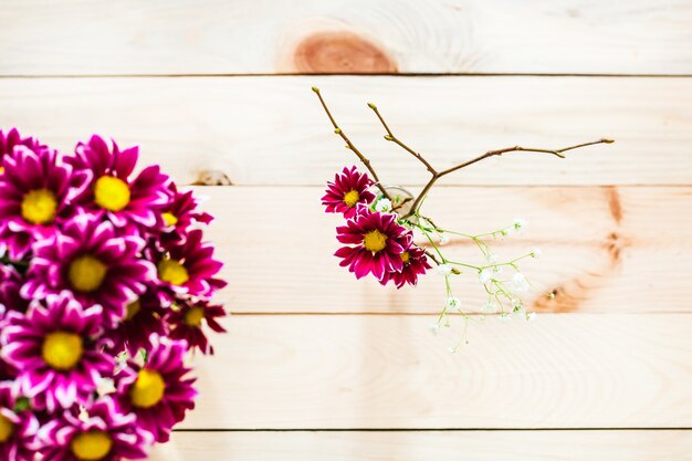 Belles fleurs rouges dans un vase, sur un fond en bois, décoration intérieure, fond, isoler, inspiration, printemps et cadeau