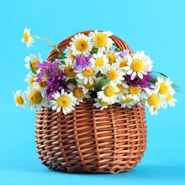 Belles fleurs sauvages dans le panier sur fond bleu