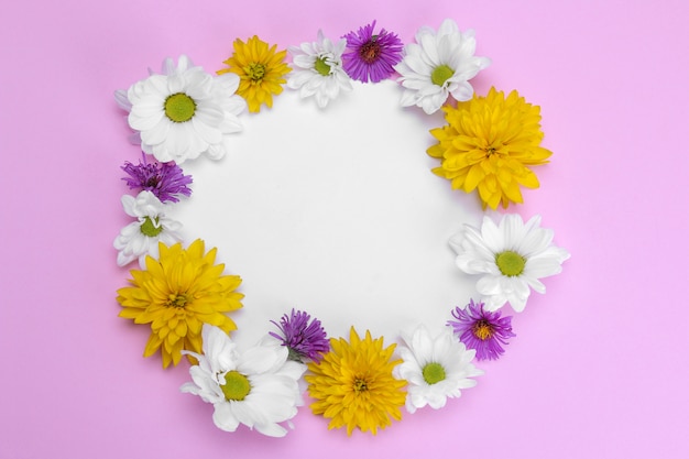 Belles fleurs sauvages avec une feuille de papier pour inscription sur fond rose.