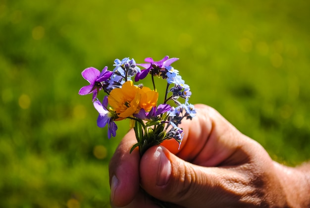 De belles fleurs sont toujours des vacances