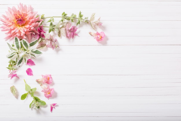 Belles fleurs sur table en bois blanc