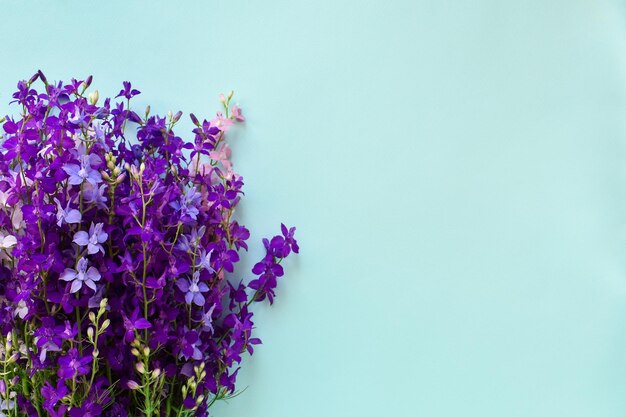 Belles fleurs violettes sur fond bleu