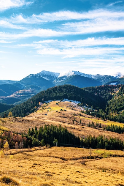 Belles forêts colorées couvrant les montagnes des Carpates et un petit village sur fond de ciel d'automne chaud