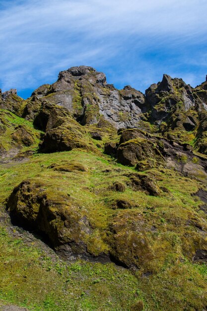 Belles formations rocheuses du canyon de Thakgil en Islande