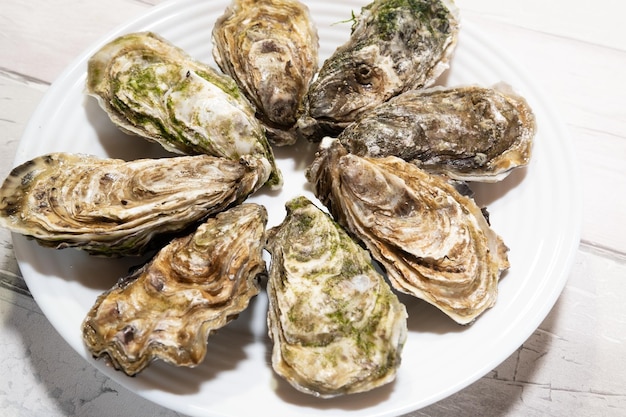 Belles huîtres creuses fraîches de Bretagne ou de Normandie en France