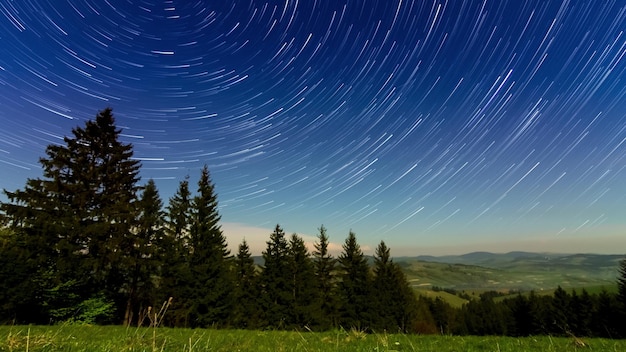 Belles images de la colline de la chaîne de montagnes avec une forêt de conifères et un chemin de prairie la nuit au clair de la pleine lune