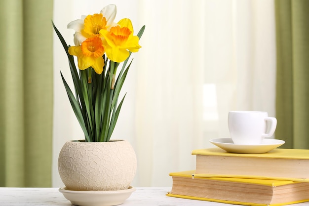 Belles jonquilles en pot avec des livres sur fond de tissu