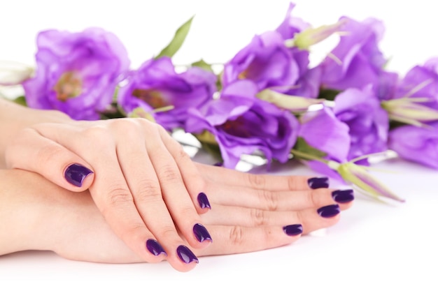 Photo belles mains de femme avec des fleurs isolées sur blanc