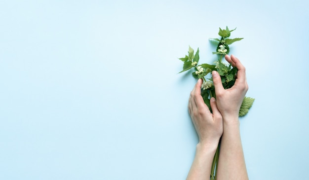 Belles mains tendres féminines tiennent des fleurs sur un fond bleu ciel lumineux. Le concept de soin des mains et de respect de la nature.