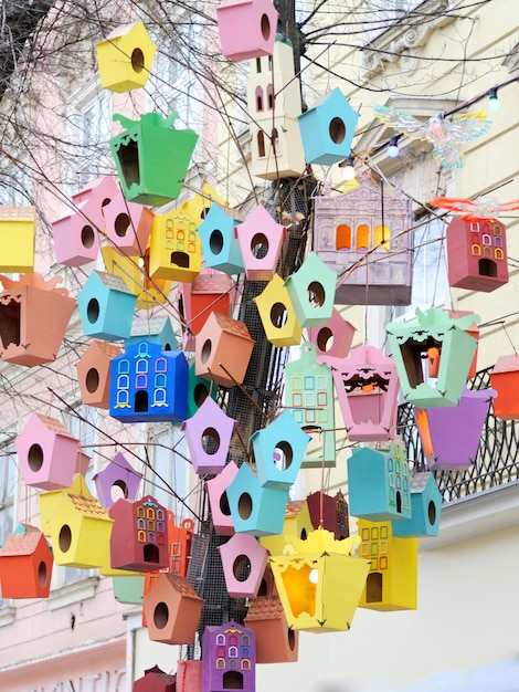 Photo les belles maisons colorées d'étourneaux dans le centre-ville de lviv, ukraine