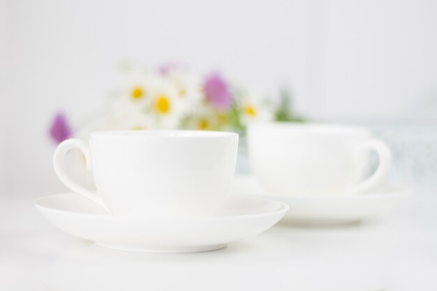 Belles marguerites et autres fleurs sur un tableau blanc.