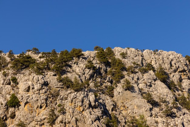 Belles montagnes en automne