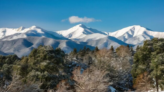 Photo de belles montagnes dans la neige et les arbres