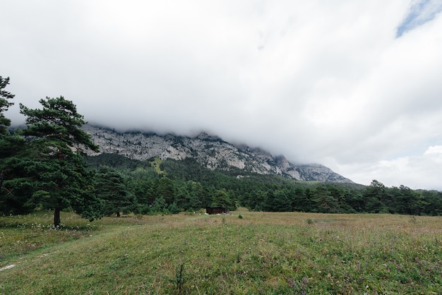 Belles montagnes et faune autour d'eux par une journée ensoleillée.