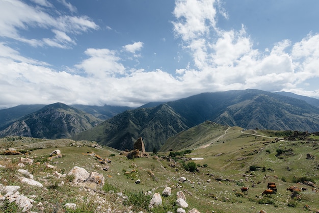 Belles montagnes et faune autour d'eux par une journée ensoleillée