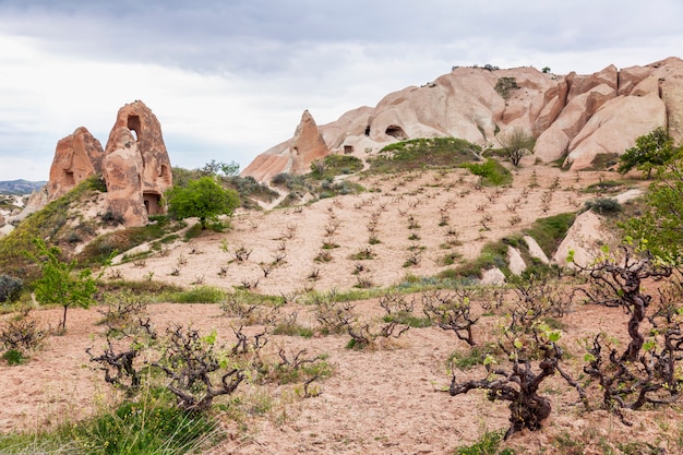 Belles montagnes roses dans la vallée de la Cappadoce. Super paysage.