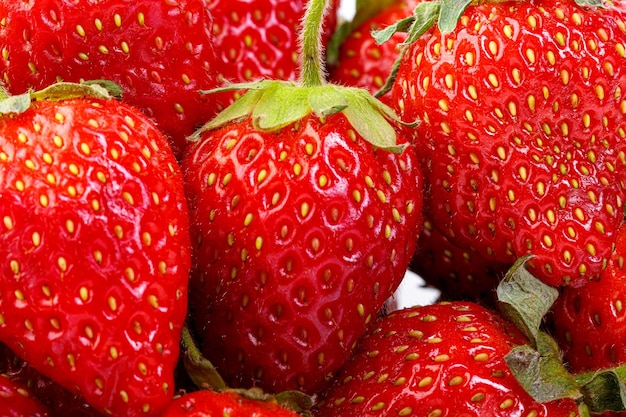 Belles et mûres fraises rouges sur fond blanc