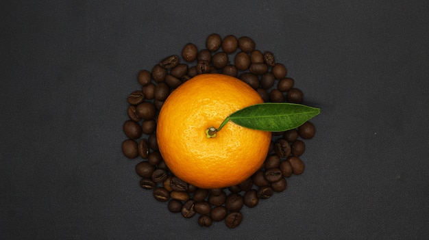 Belles Oranges, Grains De Café, Photoshoot