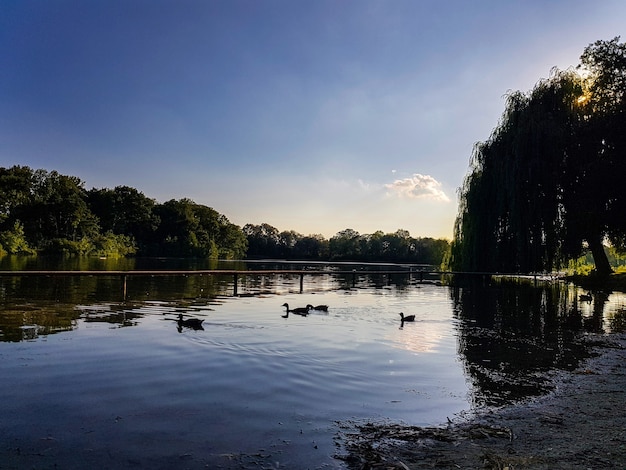 belles photos de coucher de soleil d'été