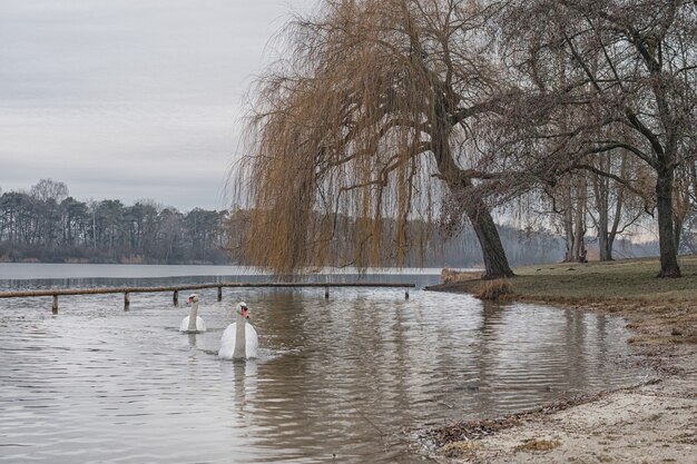 Belles photos de coucher de soleil sur un lac en Bavière dans la ville d'Ingolstadt