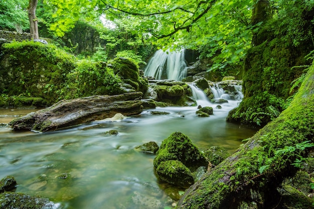 Photo de belles photos de haute qualité