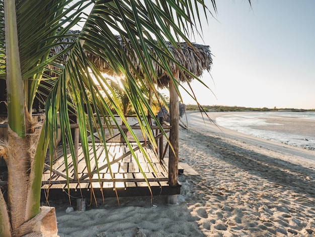 De belles photos de plages désertes et de palmiers sur la côte caraïbe. Gros plan, pas de personnes. Concept de loisirs et de voyage