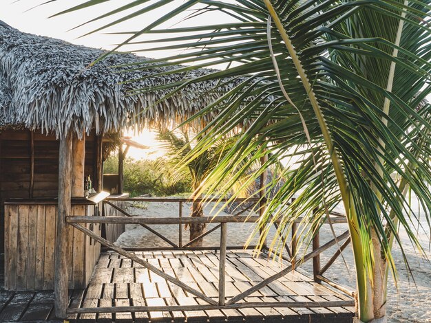 De belles photos de plages désertes et de palmiers