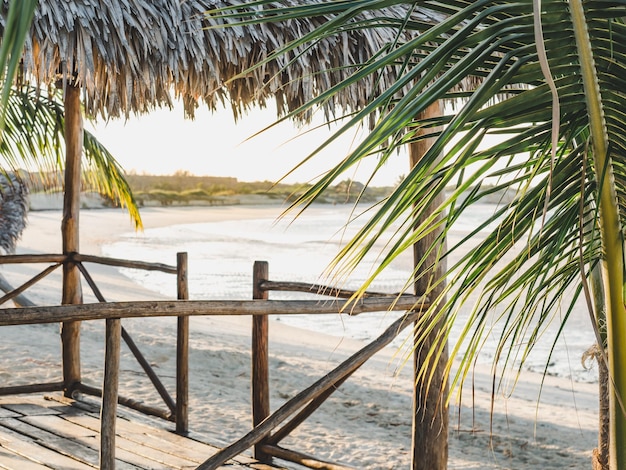 De belles photos de plages désertes et de palmiers