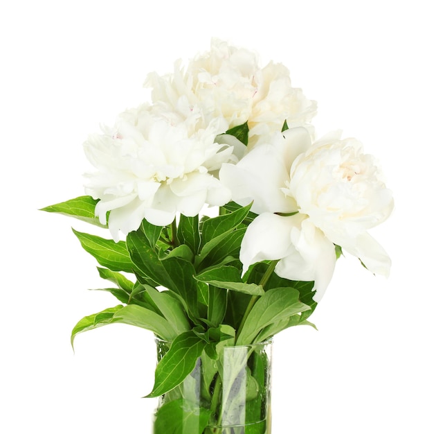 Belles pivoines blanches dans un vase en verre avec archet isolé sur blanc