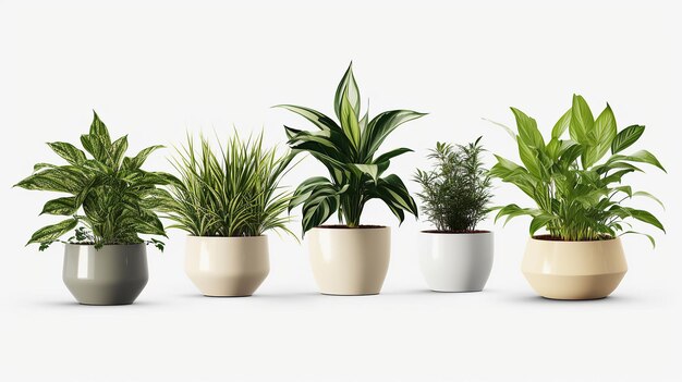 Belles plantes dans des pots en céramique isolés sur fond transparent rendu 3D IA générative