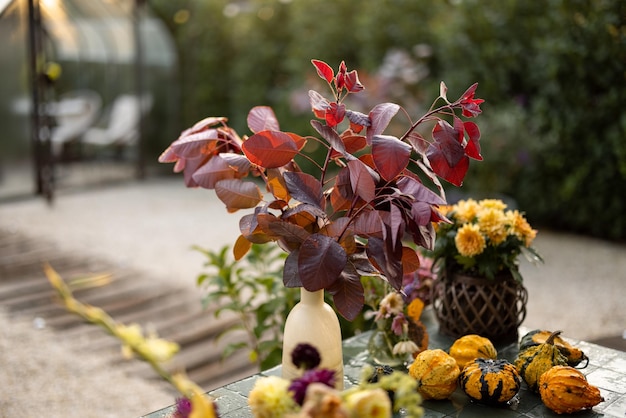 Belles plantes et fleurs d'automne dans la cour