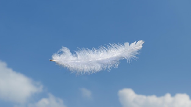 Belles plumes duveteuses blanches douces et légères flottant dans le ciel avec des nuages