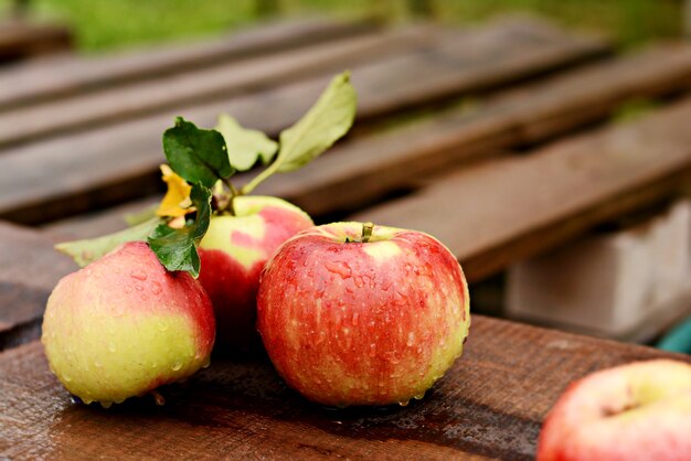 Belles pommes mûres sur un fond en bois. Récolte d'automne