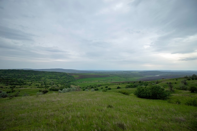 belles prairies vertes sous un ciel nuageux au début de l'été