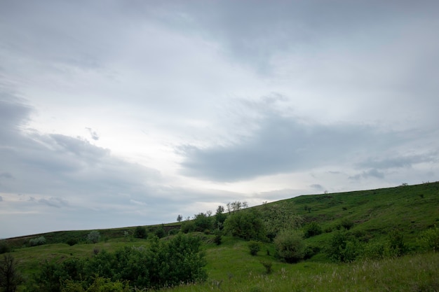 belles prairies vertes sous un ciel nuageux au début de l'été