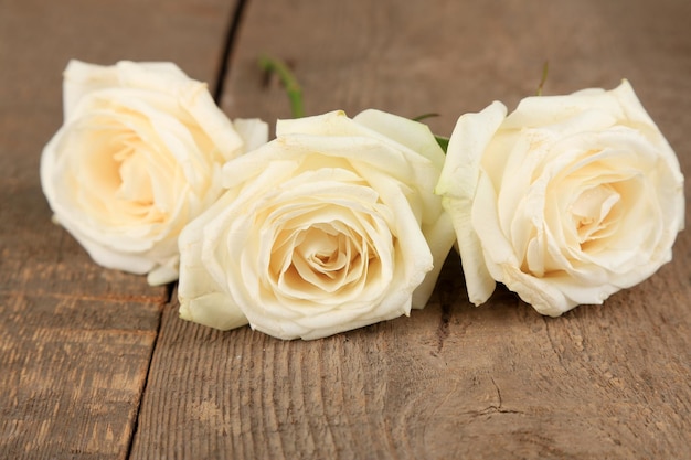 Belles roses blanches sur table en bois