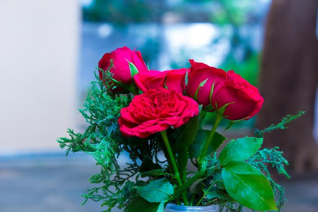 Belles roses dans un fond vert clair clair