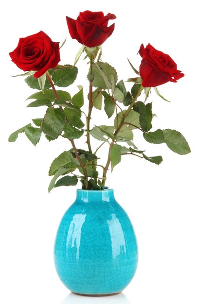 Belles roses dans un vase, isolées sur blanc