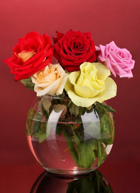 Belles roses dans un vase en verre sur fond rouge