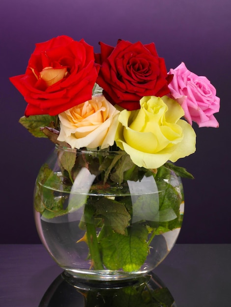 Belles roses dans un vase en verre sur fond violet